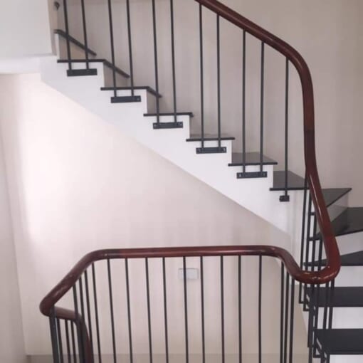 Cầu Thang Sắt 01